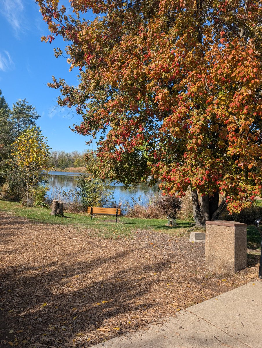 d_bead's tweet photo. Nature healing. #Autumn #FallLove https://t.co/3JQBtsYeSI