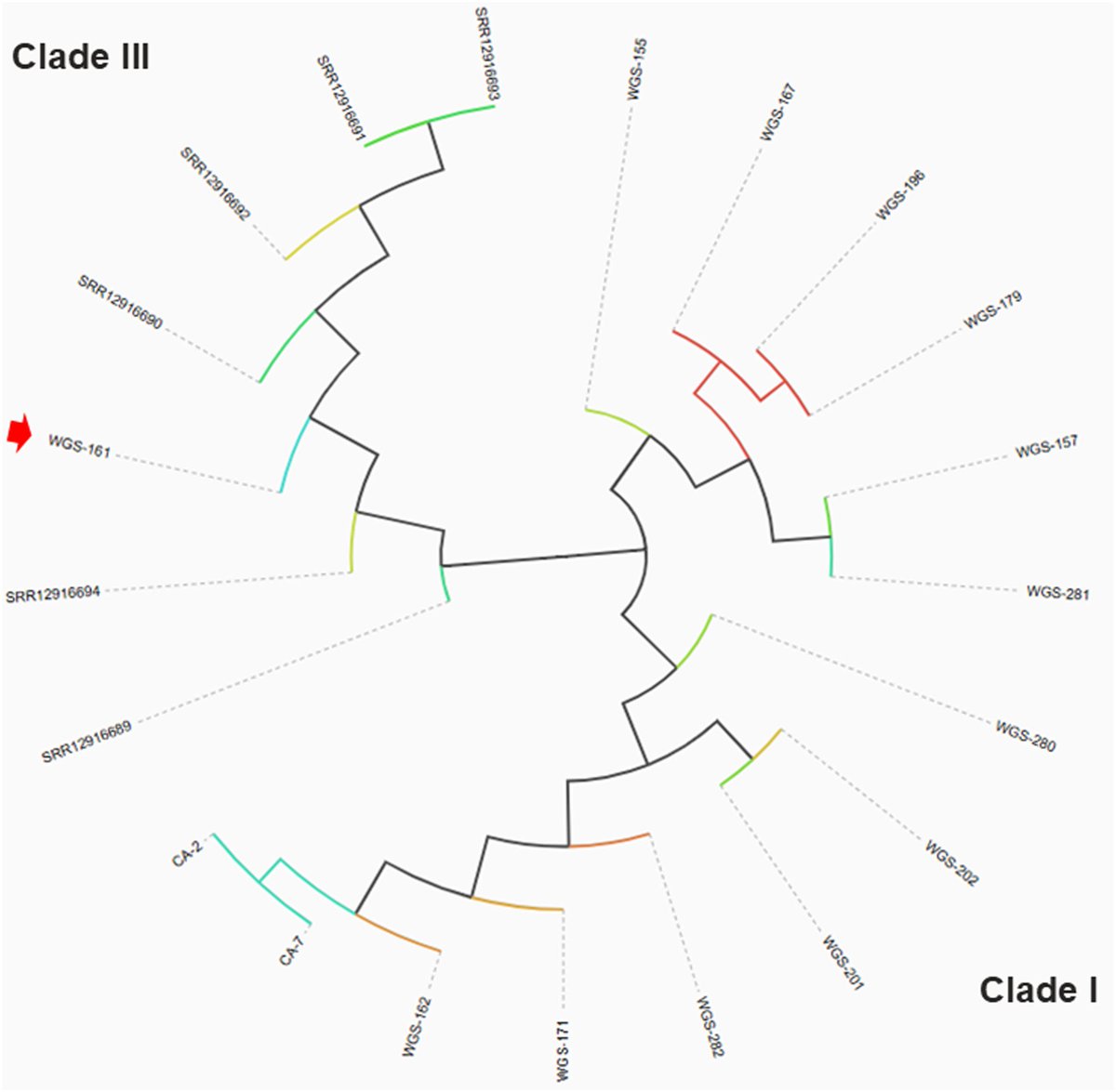 BugSeq tweet media