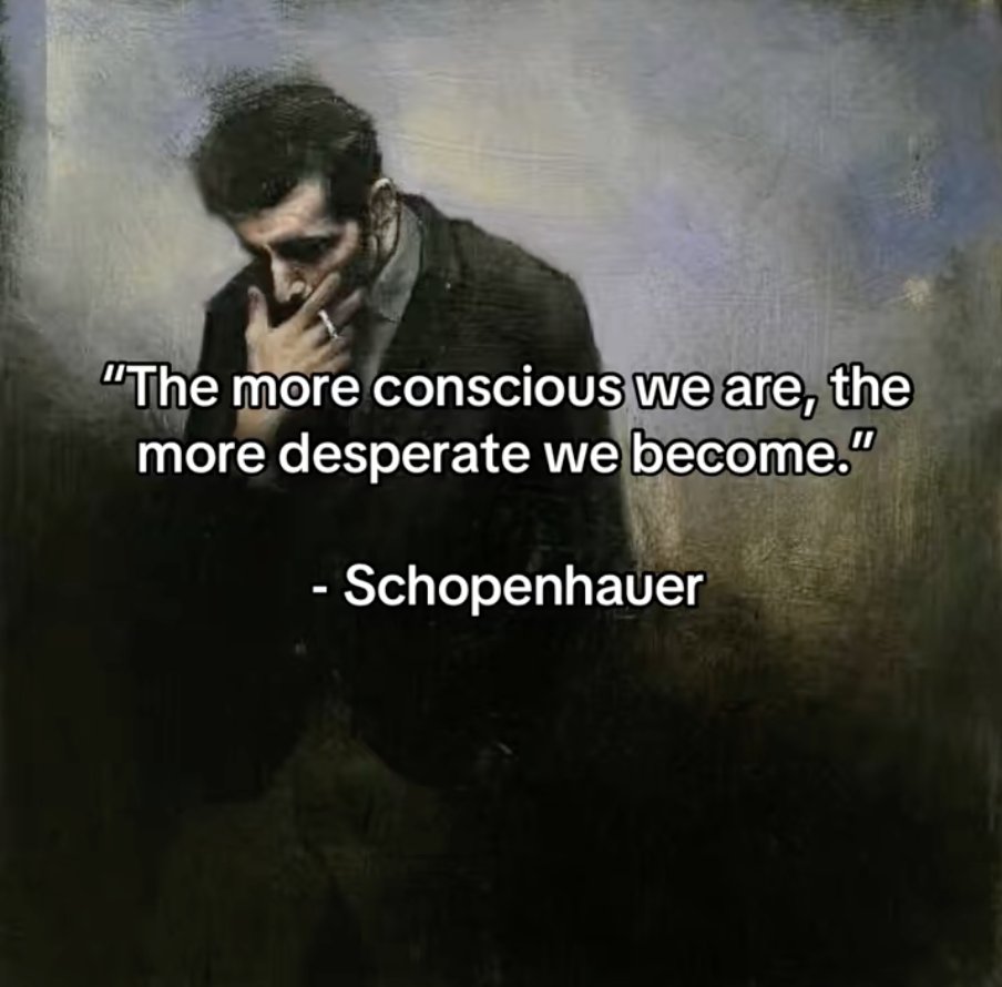 SchopenhauerNow's tweet image. Right where it hurts.