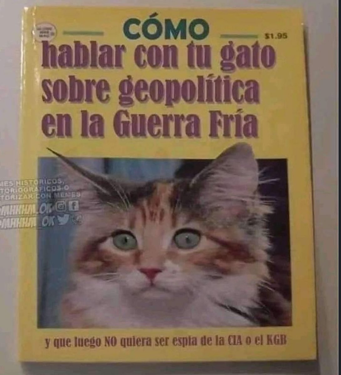 piña sin pizza tweet media