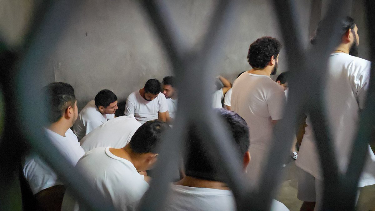 TendenciasSV's tweet photo. 🚨 FGR LOGRA DETENCIÓN PROVISIONAL PARA 52 IMPLICADOS EN RED #ESCUDOVIRTUAL

La @FGR_SV obtuvo que 52 personas vinculadas a la red transnacional de estafa y extorsión #EscudoVirtual permanezcan en detención por un período de dos años, mientras avanzan las investigaciones.

Según la Fiscalía, esta estructura operaba bajo el mando de cabecillas, reclutadores, mulas financieras y receptores, quienes utilizaban redes sociales y plataformas digitales para captar personas que servían como enlaces para transferir dinero mediante bancas electrónicas.

Además, ofrecían falsas inversiones en la bolsa de valores y empleos ficticios como gestores de cobros, utilizando sitios web fraudulentos que imitaban entidades financieras reales.