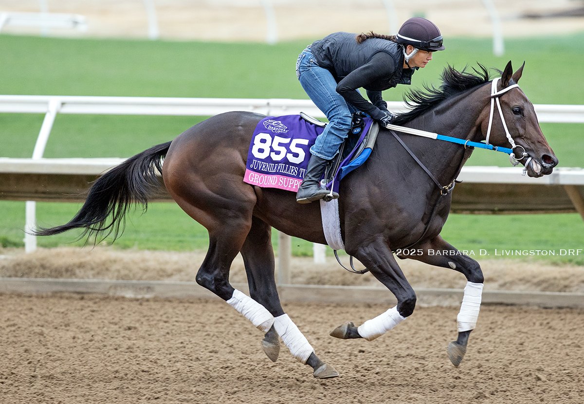 Breeders' Cup Juvenile Fillies Turf contender GROUND SUPPORT (Army Mule - Arch Support, by Arch) at Del Mar this AM.

NBS Stable, owner

Now 2-for-2, the Kelsey Danner trainee paid $203.20 winning her 1st start (KY Downs) and $26.86 winning her 2nd, the G2 Miss Grillo (Aqueduct).