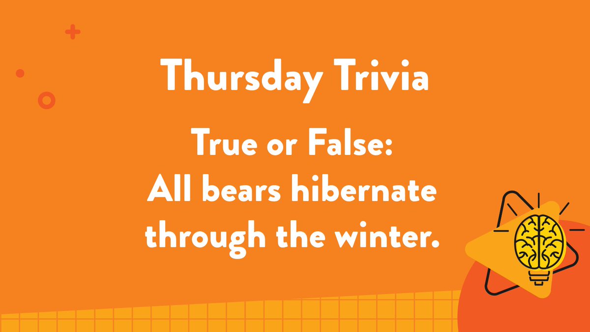 ExploreLearning's tweet image. Thursday Trivia time!🐻True or False: All bears hibernate through the winter. Drop your answer in the comments and explore more with science solutions: bit.ly/4aaIkuf

#ThursdayTrivia #ExploreLearning #EdTech