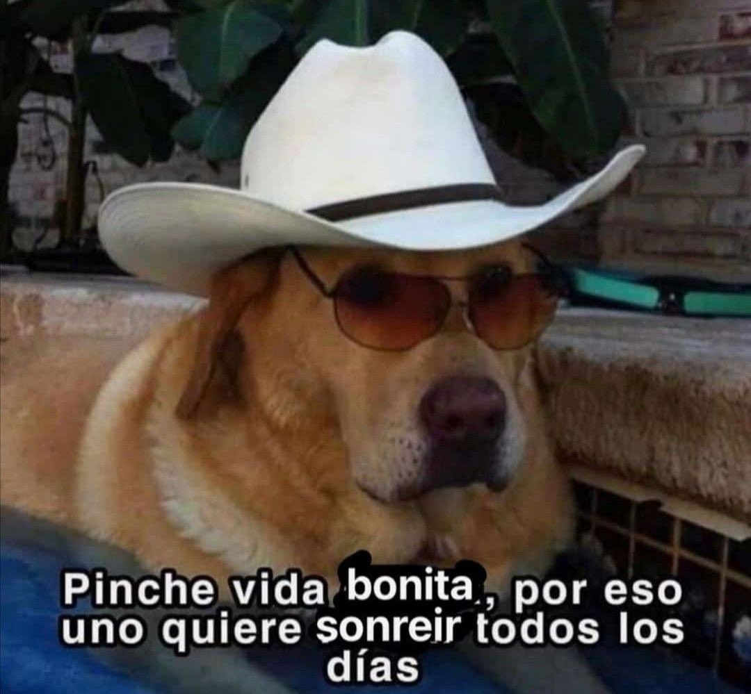 emociones amarillas (@conoloracigarro) on Twitter photo 