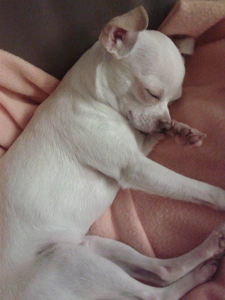 Pato amore mio, la mamma ti aspetta… ❤️❤️🙏🏻