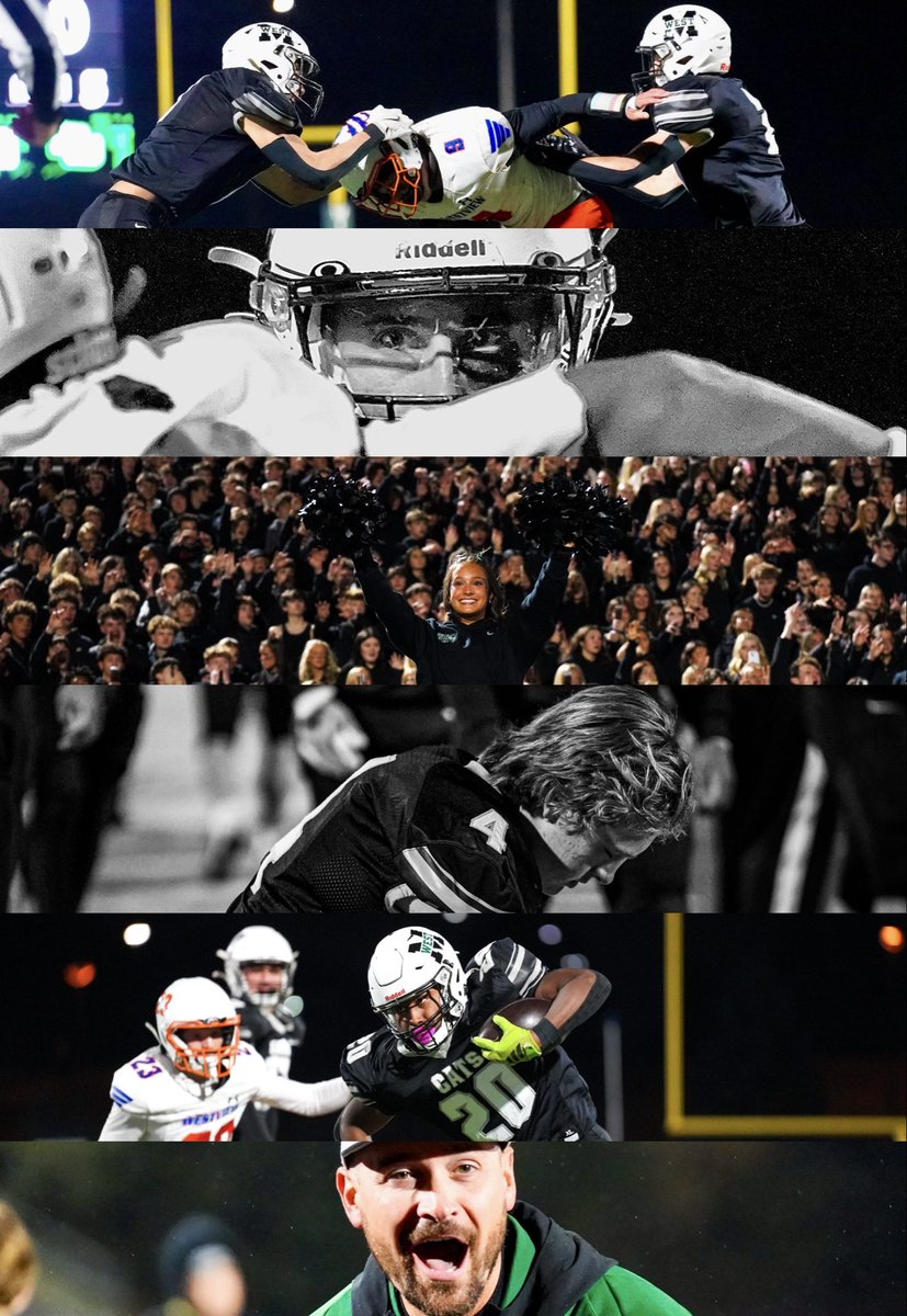 lilly stoops tweet media