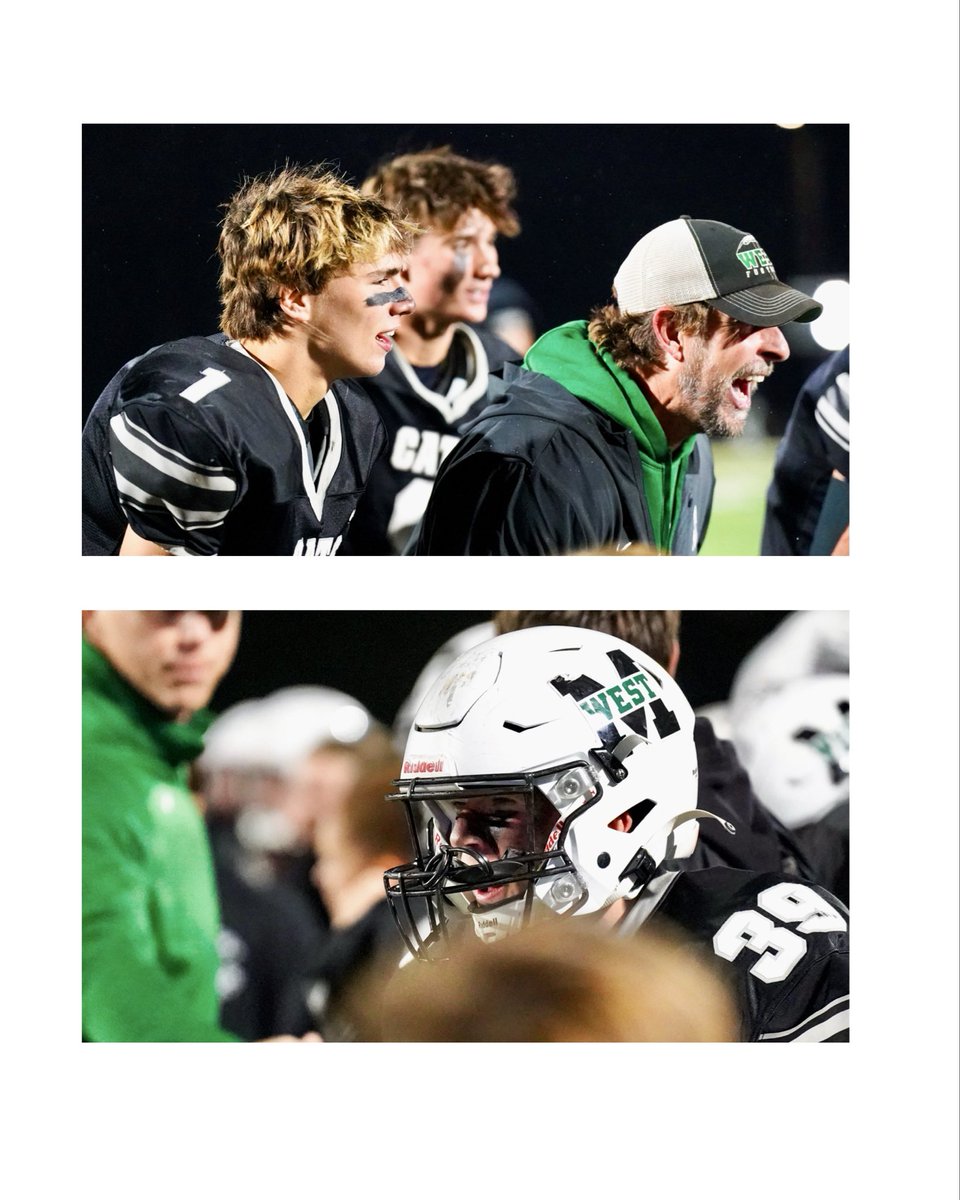 lilly stoops tweet media