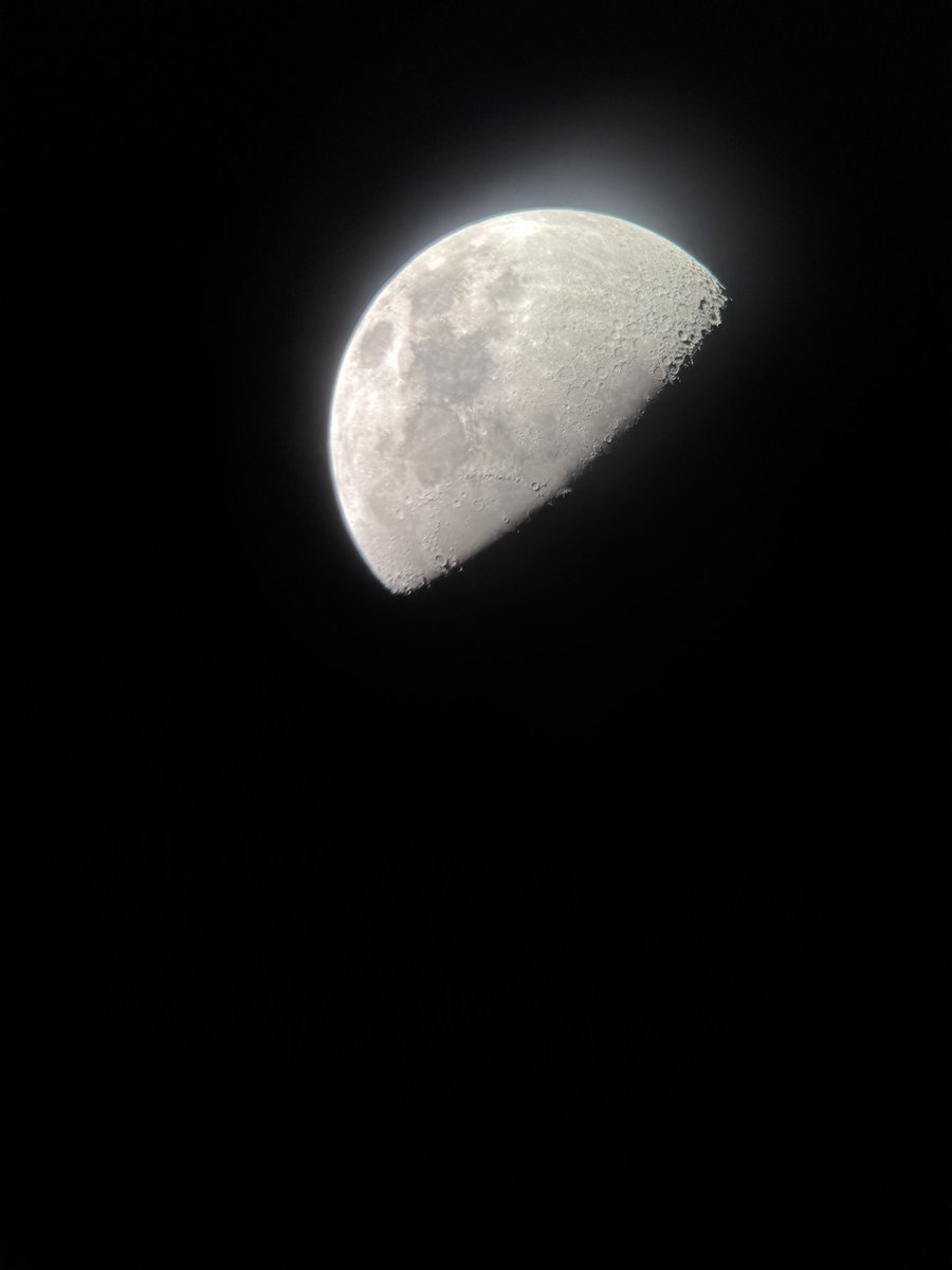 Tess Bevers tweet media