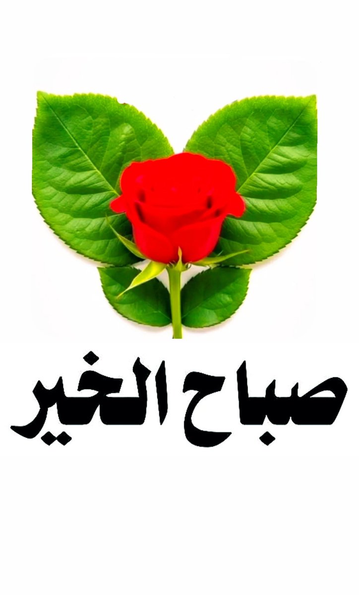 #صباح_الخير 👋🏻♥️🍃