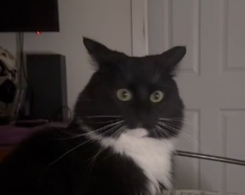 orchid🌸 tweet media