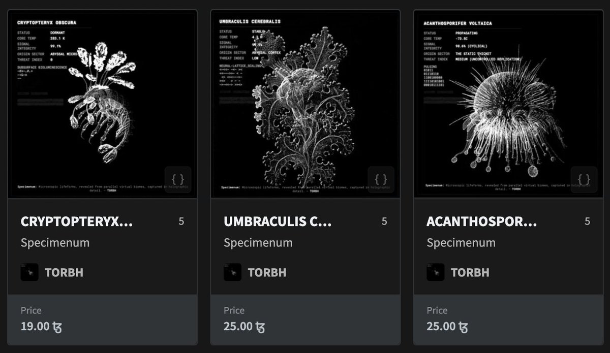 Microscopic lifeforms, revealed from parallel virtual biomes, captured in holographic detail. 
objkt.com/collections/KT…

#Tezos #XTZ #TezosNFT #TezosArt #objkt #TezosCollectors #NFTCollector #3dnft #DigitalArt #NFTCommunity #interactivenft