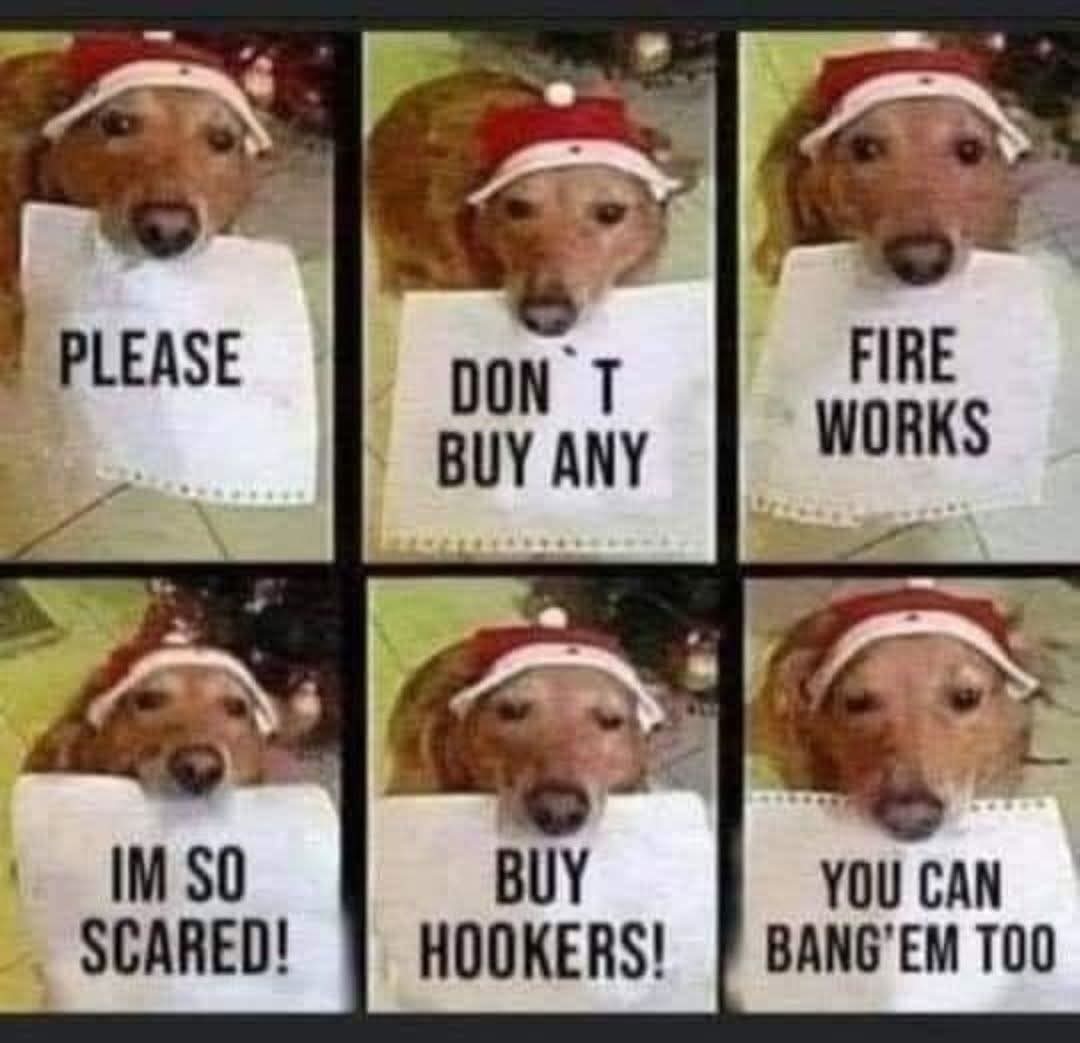 The Mechanic🇬🇧 (@bonkerssteve) on Twitter photo 