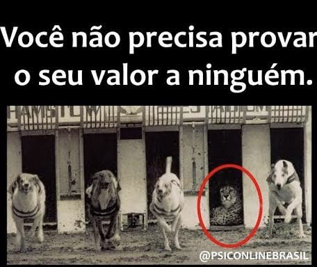 glc trem do odio 5️⃣7️⃣ tweet media