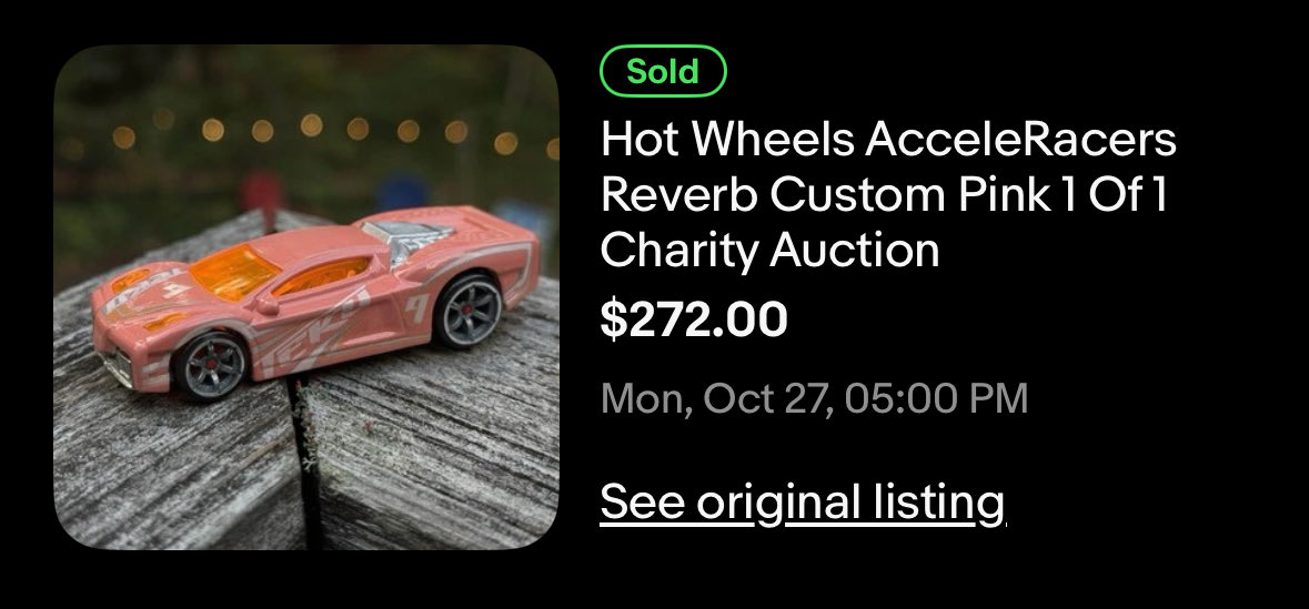 The auction is complete! Thank you to everyone who supported this fundraiser!!!