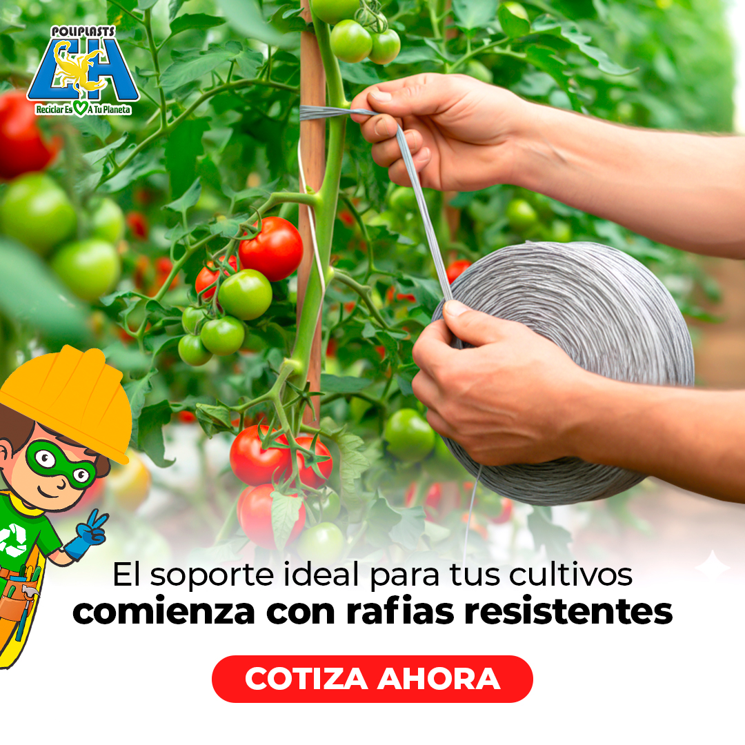 Poliplasts tweet media