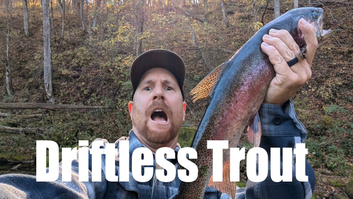 dataenggdude's tweet image. Driftless Monster Trout Catch and Cook youtu.be/1_9J7WIgkQU?si… via @YouTube #midwest #trout #outdoors