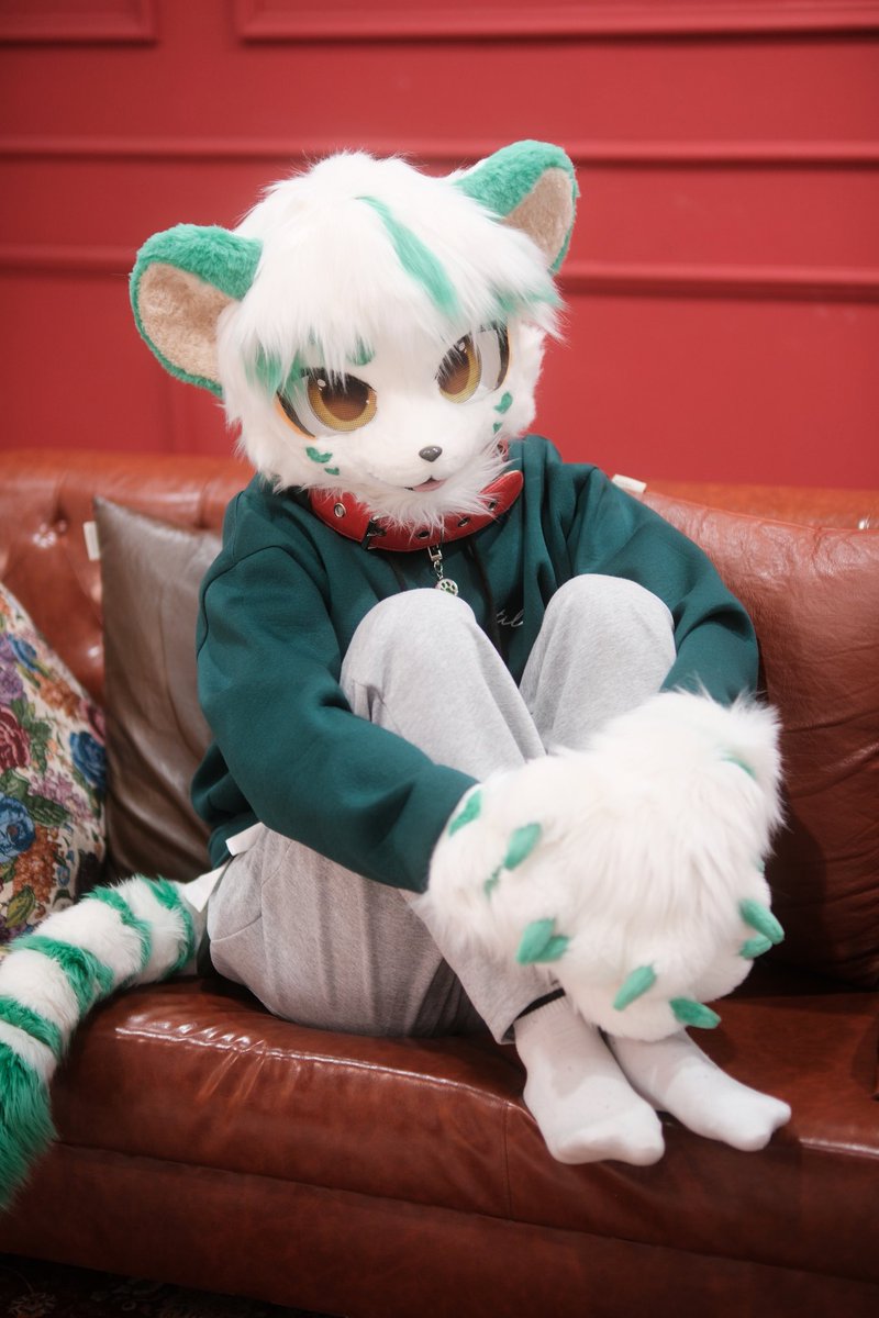 ๋ฅ (@jadetiger_ryu) on Twitter photo Please raise me~
๐ธ<a href="/Breadragon_P/">BREADRAGON_Photo</a>
#FursuitEveryday Please raise me~
๐ธ<a href="/Breadragon_P/">BREADRAGON_Photo</a>
#FursuitEveryday