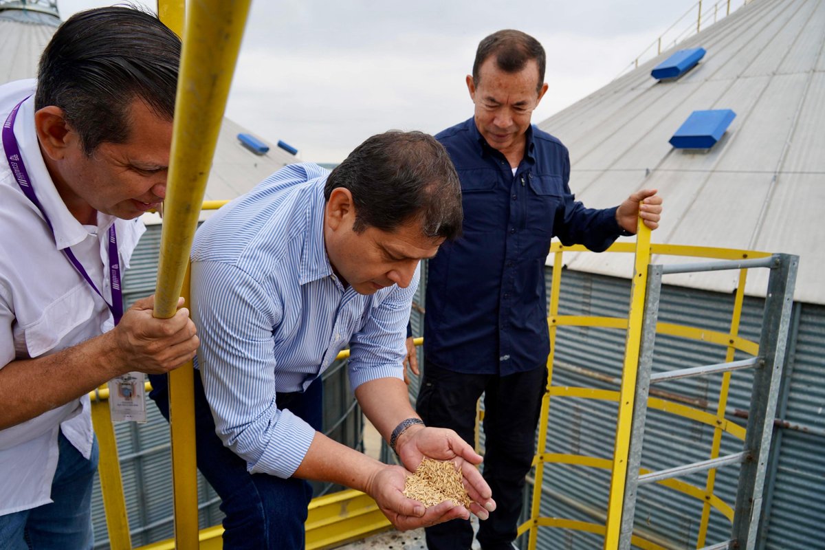 AgriculturaEc's tweet photo. #LosRíos | ¡#ElNuevoEcuadorImpulsa la trasparencia con el sector arrocero!

El ministro de Agricultura, Ganadería y Pesca, @DPalaciosEc, visitó las piladoras de Babahoyo y Montalvo, inscritas en el concurso público bajo la modalidad de gestión delegada para la compra, almacenamiento y comercialización de arroz. 

Durante el recorrido, verificó la documentación habilitante, área de recepción, laboratorio, área de silos, bodegas, se constató la capacidad de almacenamiento de la gramínea en cada Piladora.