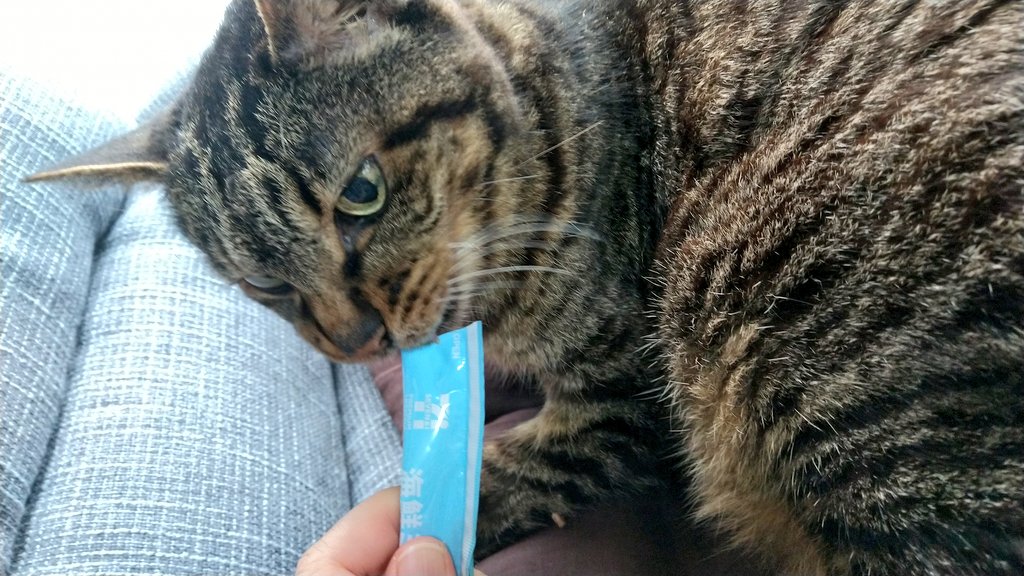 さざなみ竜 on X