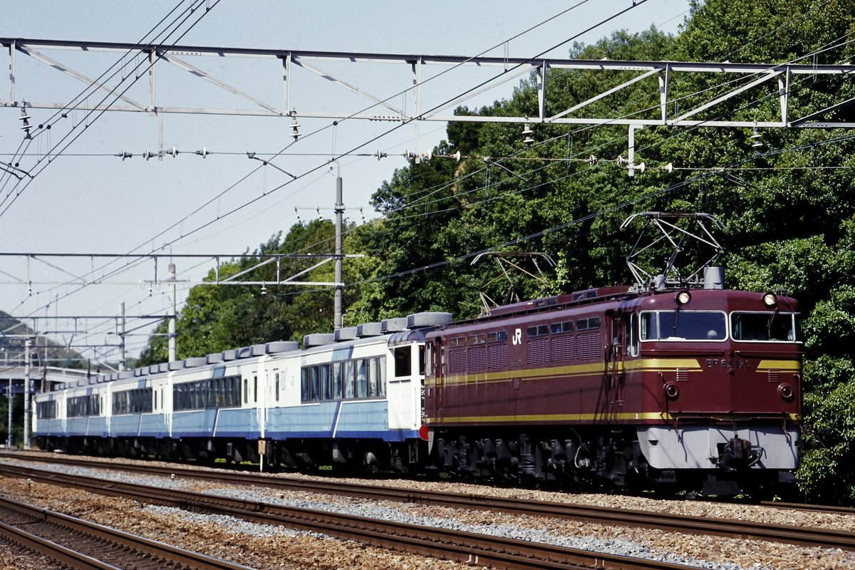 海坊主 海坊主 on X