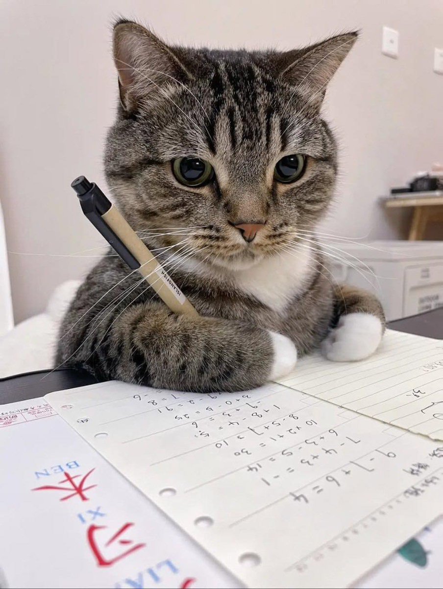 Estudando miautemática