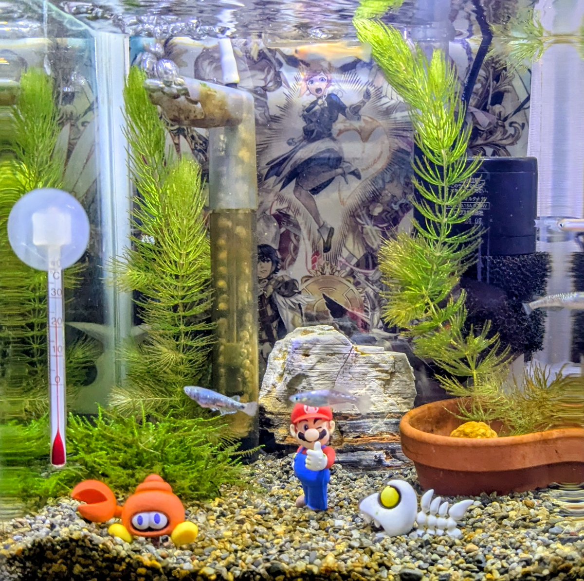 エンペラーフィッシュ KENKENKENKEN on X