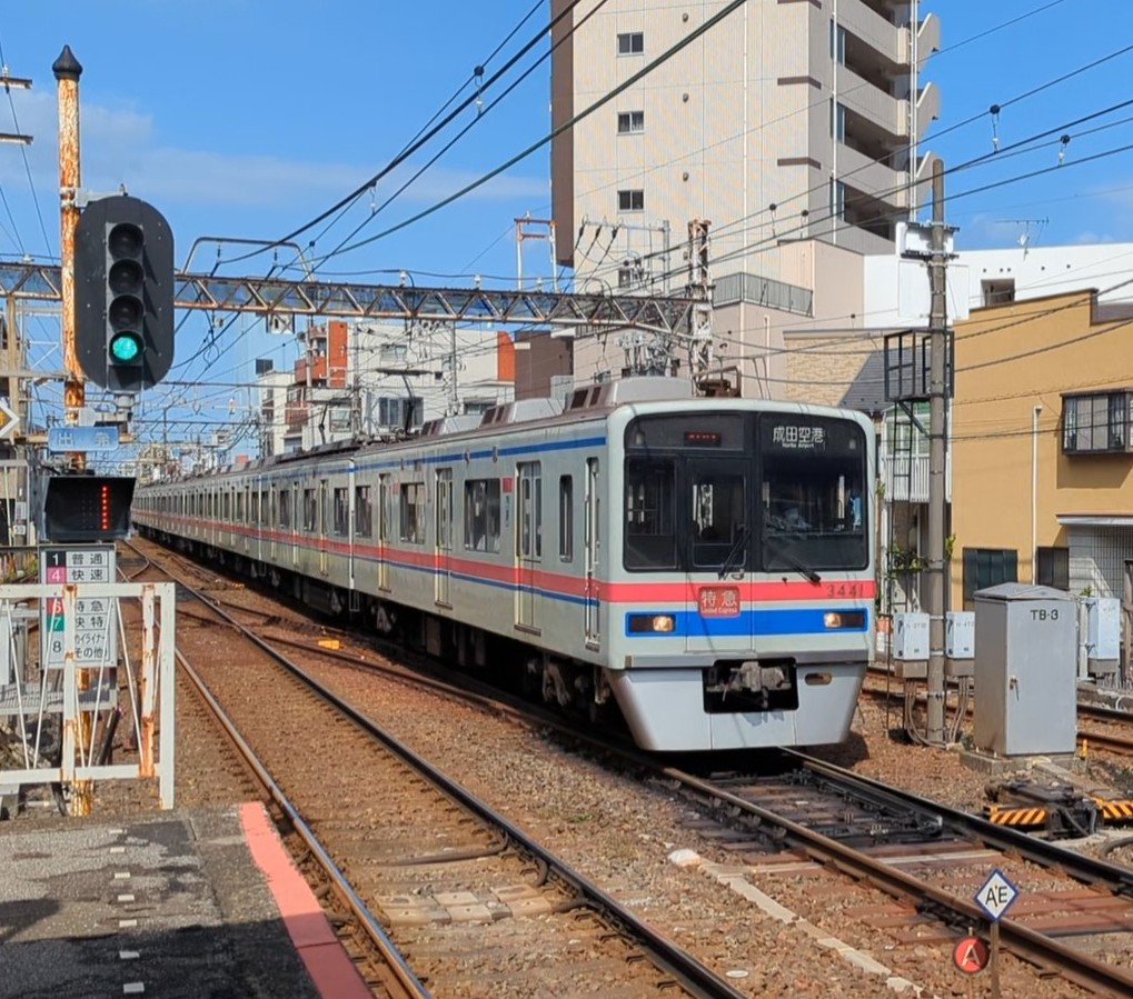 草軽電気鉄道 2'6\" gauge through white birch 91r3BXsosQL._AC_UF1000,