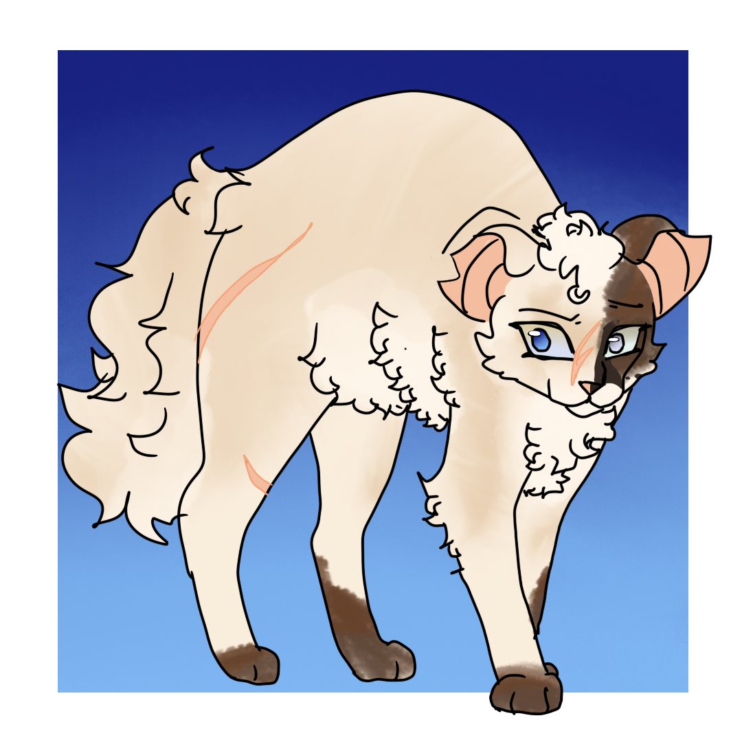 CyberShocked's tweet photo. hello!!! I have #commissionsopen !!! I'll draw you a cat for just $25! DM me for more details!

#warriorcats #warriors #digitalart #commissions #commission #warriorcat https://t.co/TX9lyqqyyR