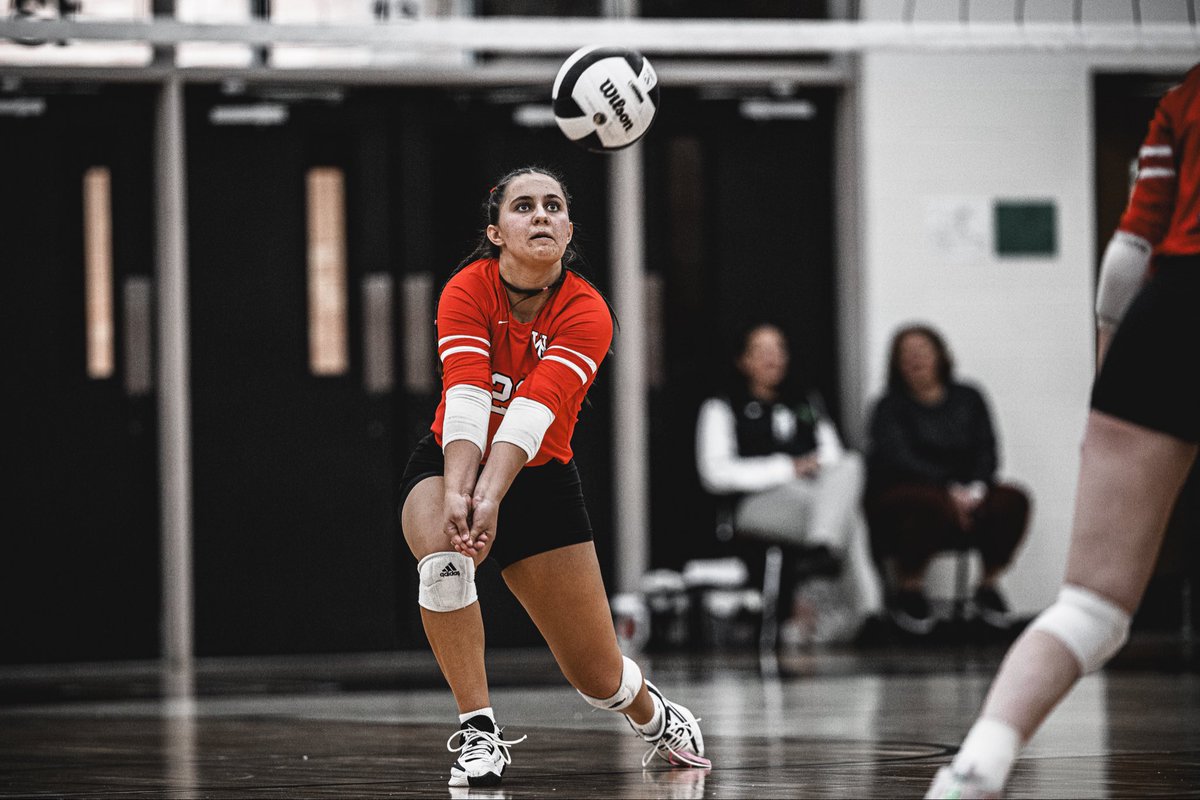 Paul K Owens tweet media