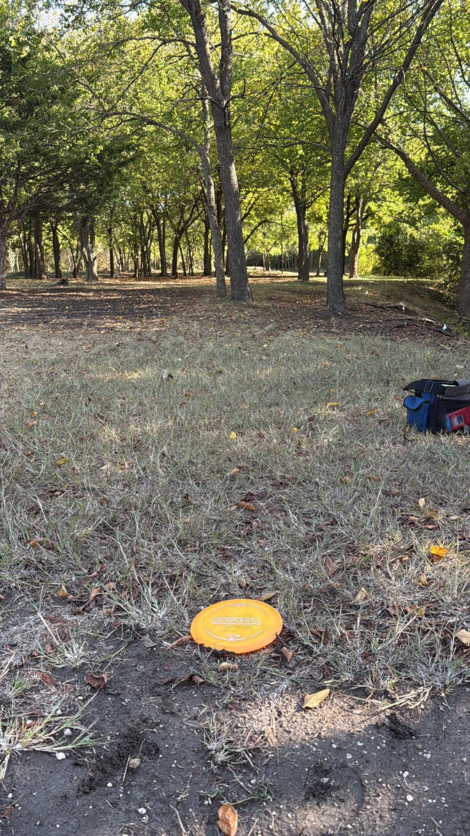 Oof, cicada got me in trouble at #5 at Northtown.