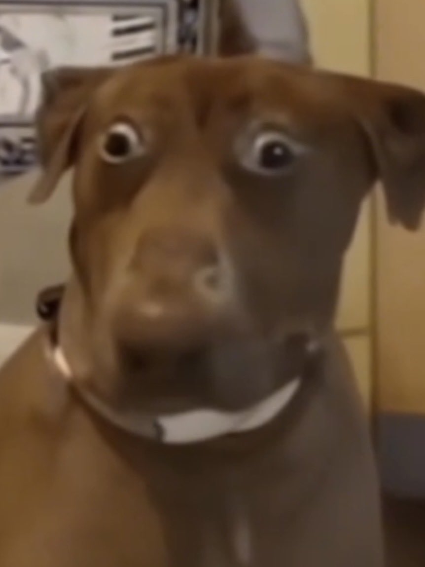jorgee_717's tweet photo. mi cara cada vez que veo el clip de TADORU (cada vez me da más lache)  #OTGala6 https://t.co/B5ME5meNBp