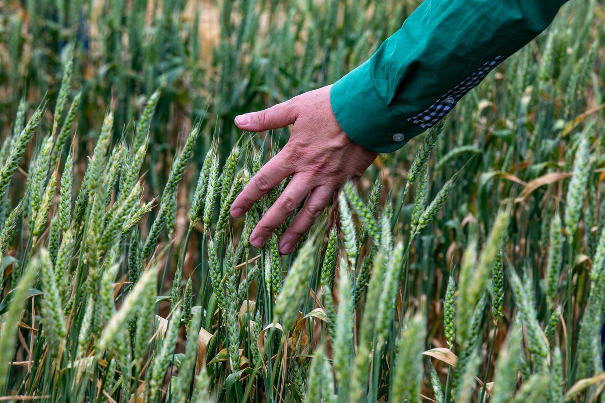 SiaSydney's tweet photo. This week @devintellab asked the experts, "Can Australia turn its agricultural capability into regional food security?" Read Prof Daniel Tan's and other responses here: https://t.co/RoLrgemTB0 https://t.co/VphnoOSxYg