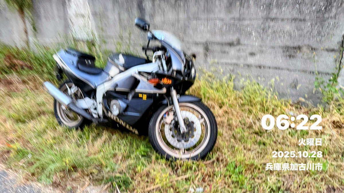 RN_rono's tweet photo. (*ﾟｰﾟ)vｵﾊﾖ♪
今朝は晴れてます☀

ここ数日通勤中にバイクが放置されてるのが気になる https://t.co/nauYcXfdhb