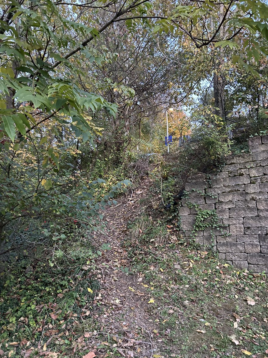 PootieLoops's tweet photo. I’m a slut for a sneaky shortcut #desirepath https://t.co/V1FEiRGmhO