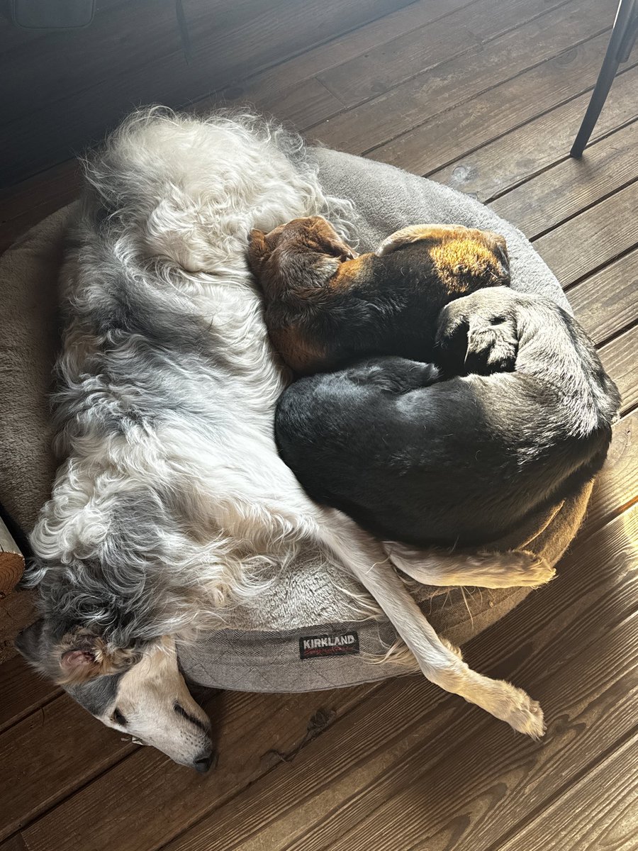 心の広い方、お願いいたします さちを (@higumayamacutie) / Posts / X