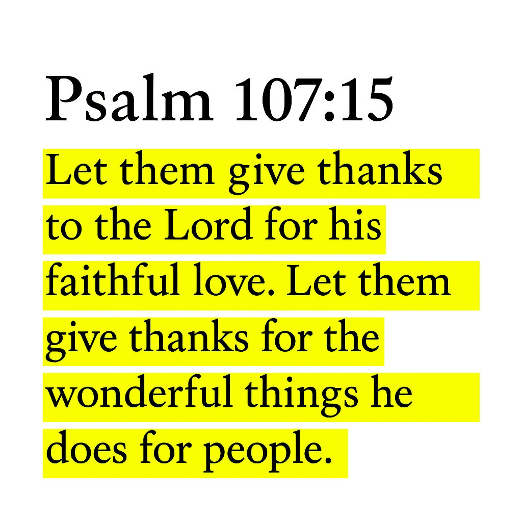 Daily Bible tweet media