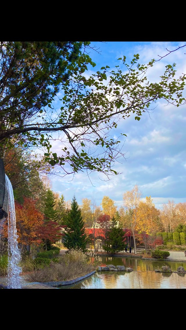 【希望の輝き】翼 ,羽根,鳥 羽,樹木,青空,星,bird,おしゃれ,星空,樹木 希望の輝き】翼 ,羽根,鳥 羽,樹木,青空,星,bird,おしゃれ,星空,樹木