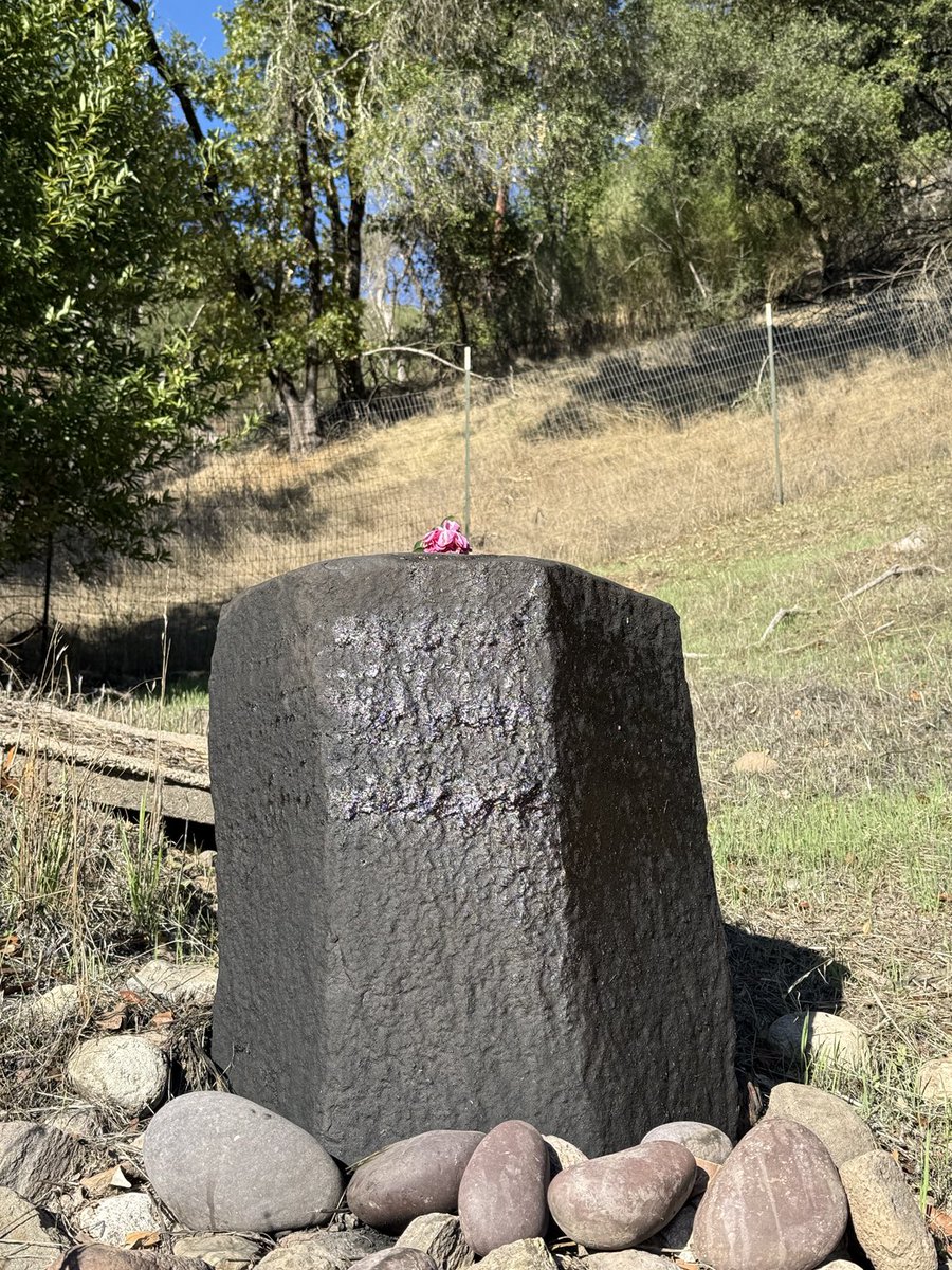 drraam's tweet image. Shakti-Shiva Aradhana 🌺 Fasting, Feasting &amp;amp; Meditation with family &amp;amp; friends 🙌 Wishing all much Love ❤️ Peace ✌️ &amp;amp; Harmony 🎶 #Siddha #Kayakalpa #Retreat #California