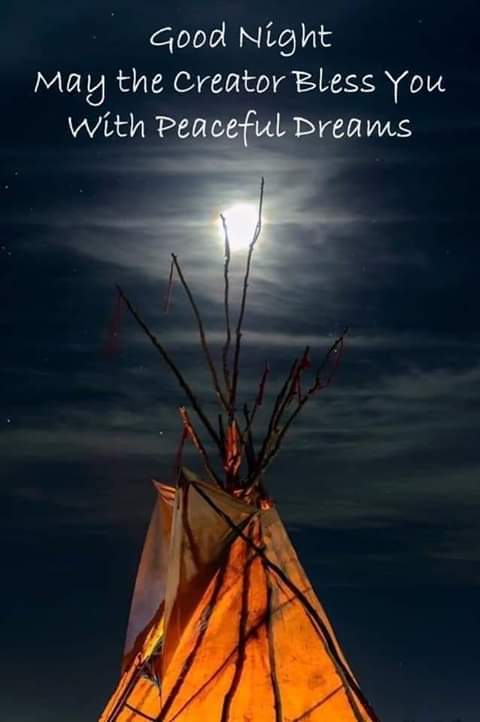 AmericanIndian8's tweet image. Good Night
#INDIGENOUS #TAIRP