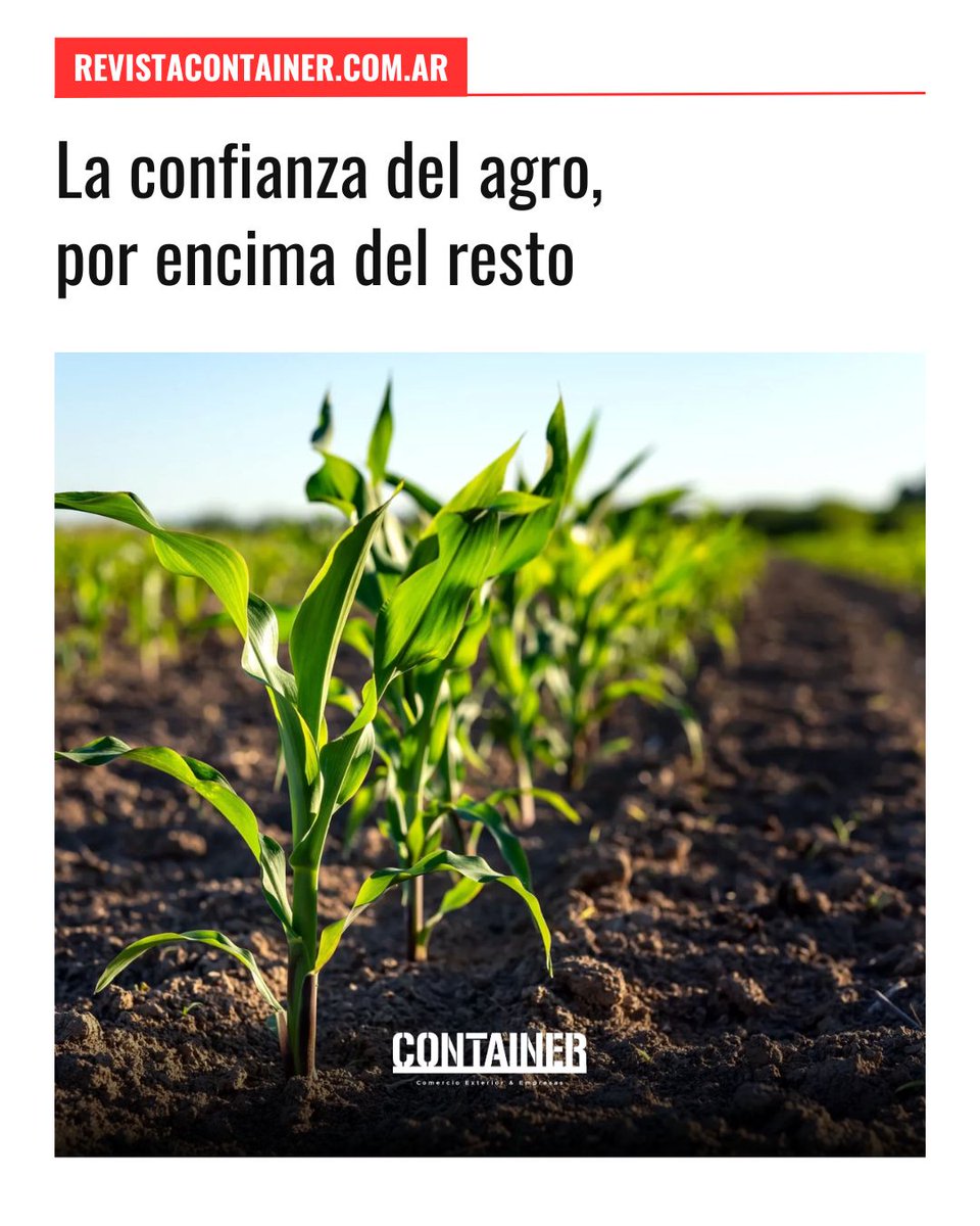 A pesar de una leve caída, la confianza de los productores agropecuarios se mantiene en terreno positivo, según la última edición del Ag Barometer Austral, elaborado por el Centro de Agronegocios y Alimentos de la Universidad Austral.