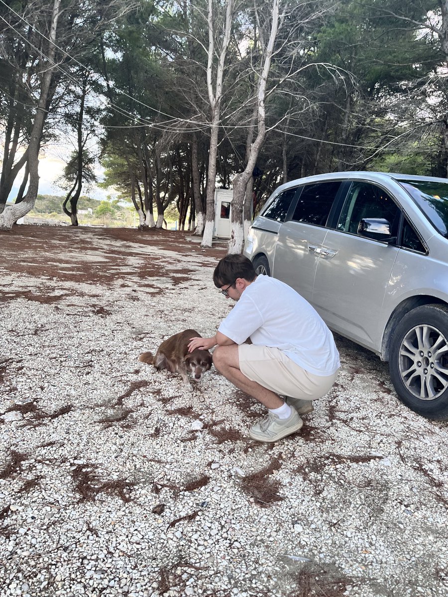 amelia ੈ✩‧₊˚ tweet media