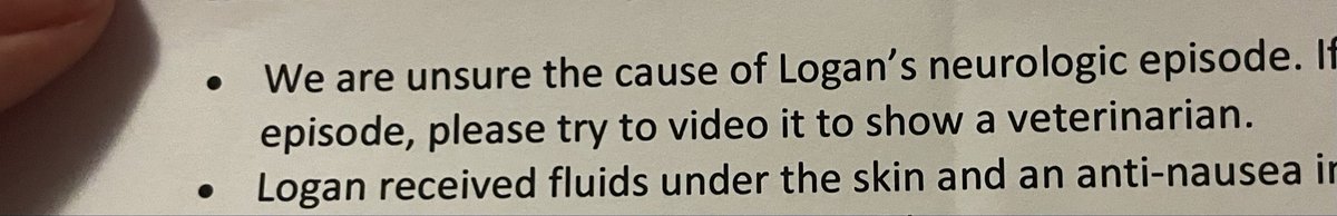 RosePetallia's tweet image. my baby boy had a seizure today. the vet isn&apos;t sure what caused it and I will no doubt need to pay for more panels on top of the $600 I now owe and need to pay off. I will not be streaming for the next two weeks so I can both watch Logan and come up with the money.