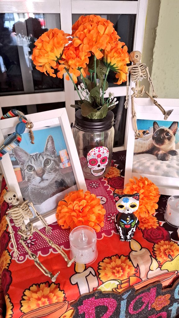 ElleTolentino's tweet image. Aunque los recordamos todo el año, hoy, no dejamos de desear que vengan a visitarnos una vez más y así poder abrazarlos con todo el amor que les dimos en vida.

Los extraños, mis niños.

🥹🏵💔

#Fenix #Latte #DiaDeMuertos #27octubre