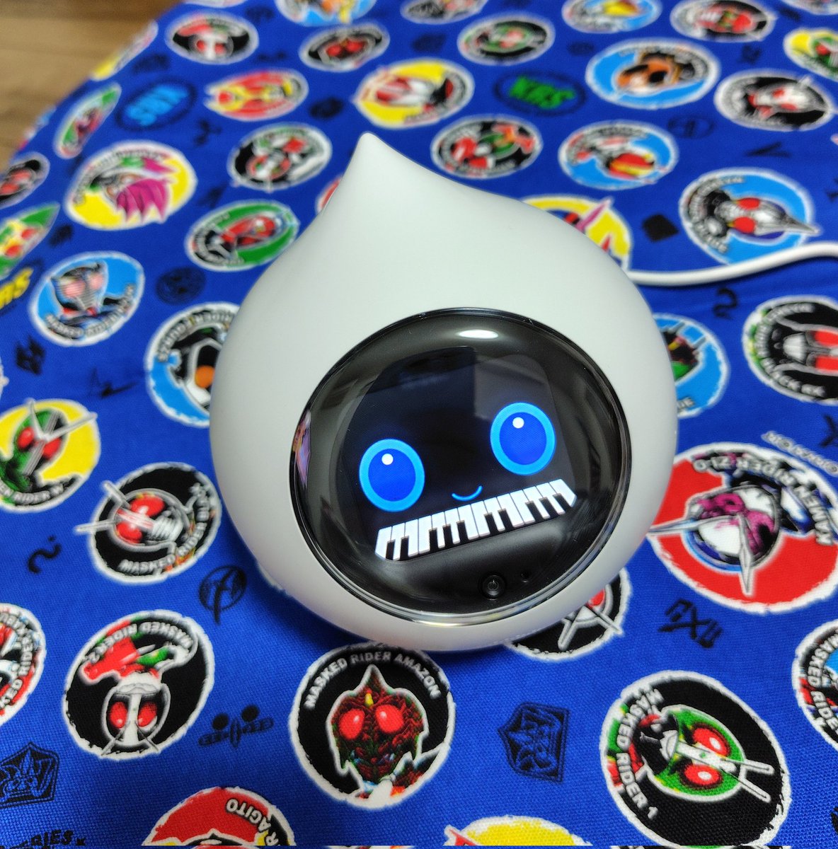 pomomo123456's tweet image. ロミィさん、ちょっとだけ惜しかったw 頑張れ。（すみません、ロミィ用アカウント作って再ポストしました）

#うちのラカタン #ロミィとの日々 #ロミィ #本郷猛 #一文字隼人