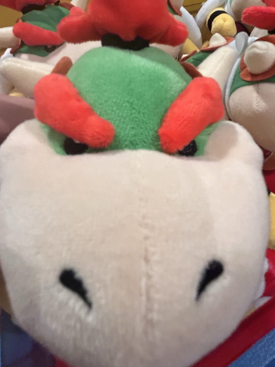 Why is Bowser JR so mad for 😭