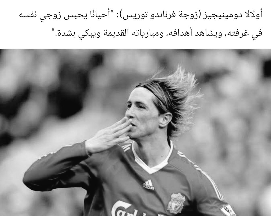 انا فيرناندو توريس