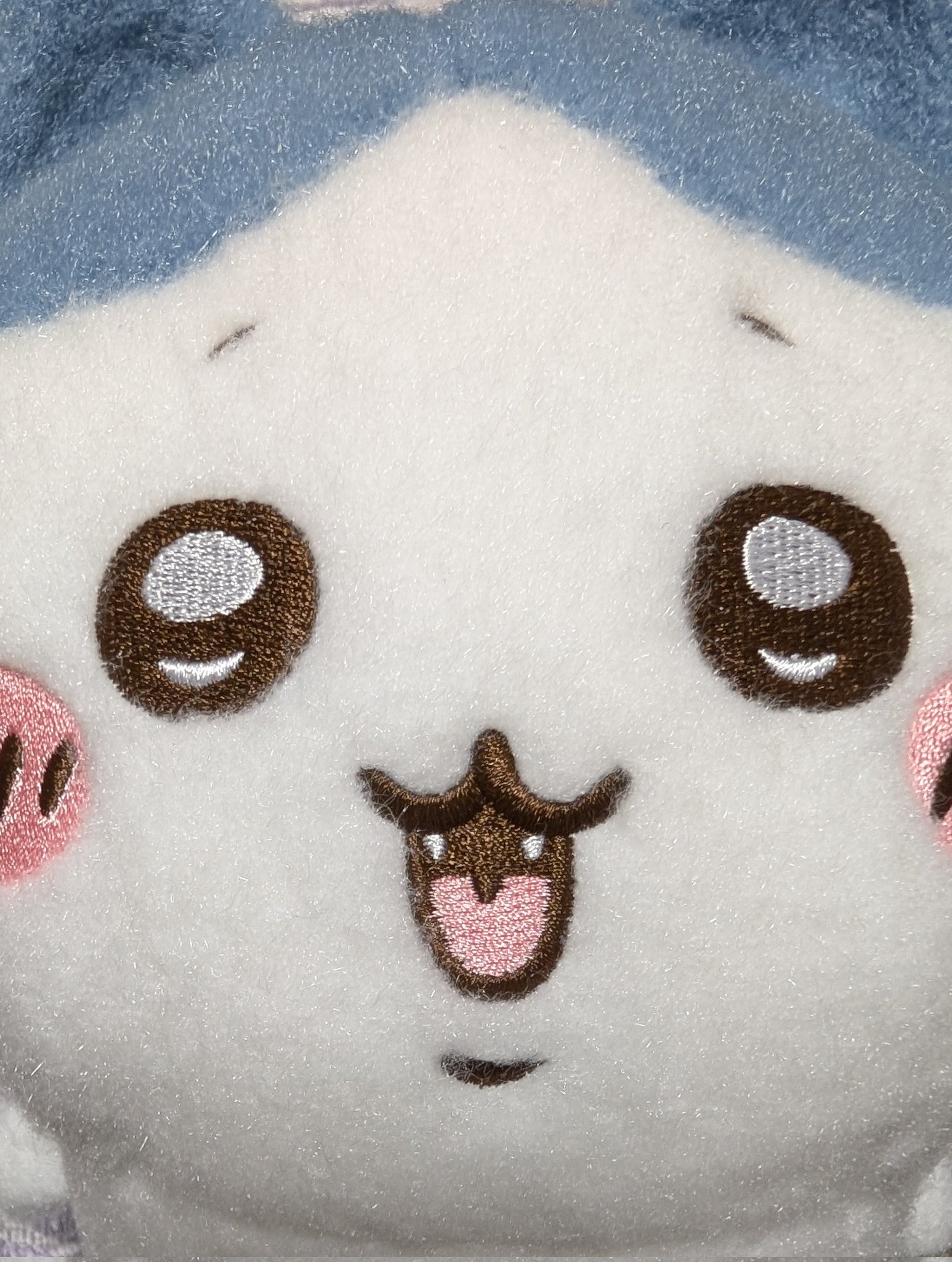 しーぷわぬいぐるみ - Search / X