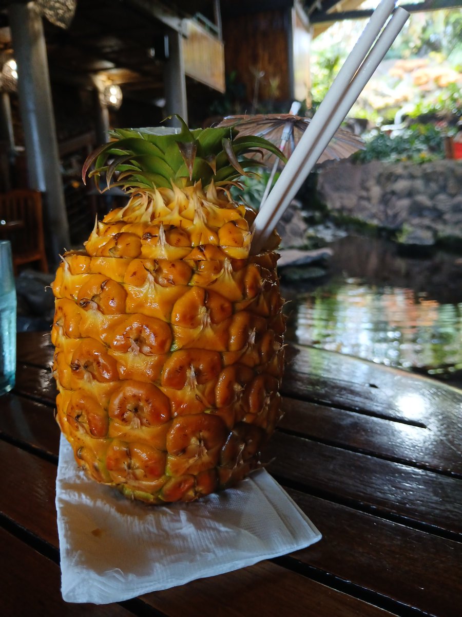 Daily Picture Theme tweet media