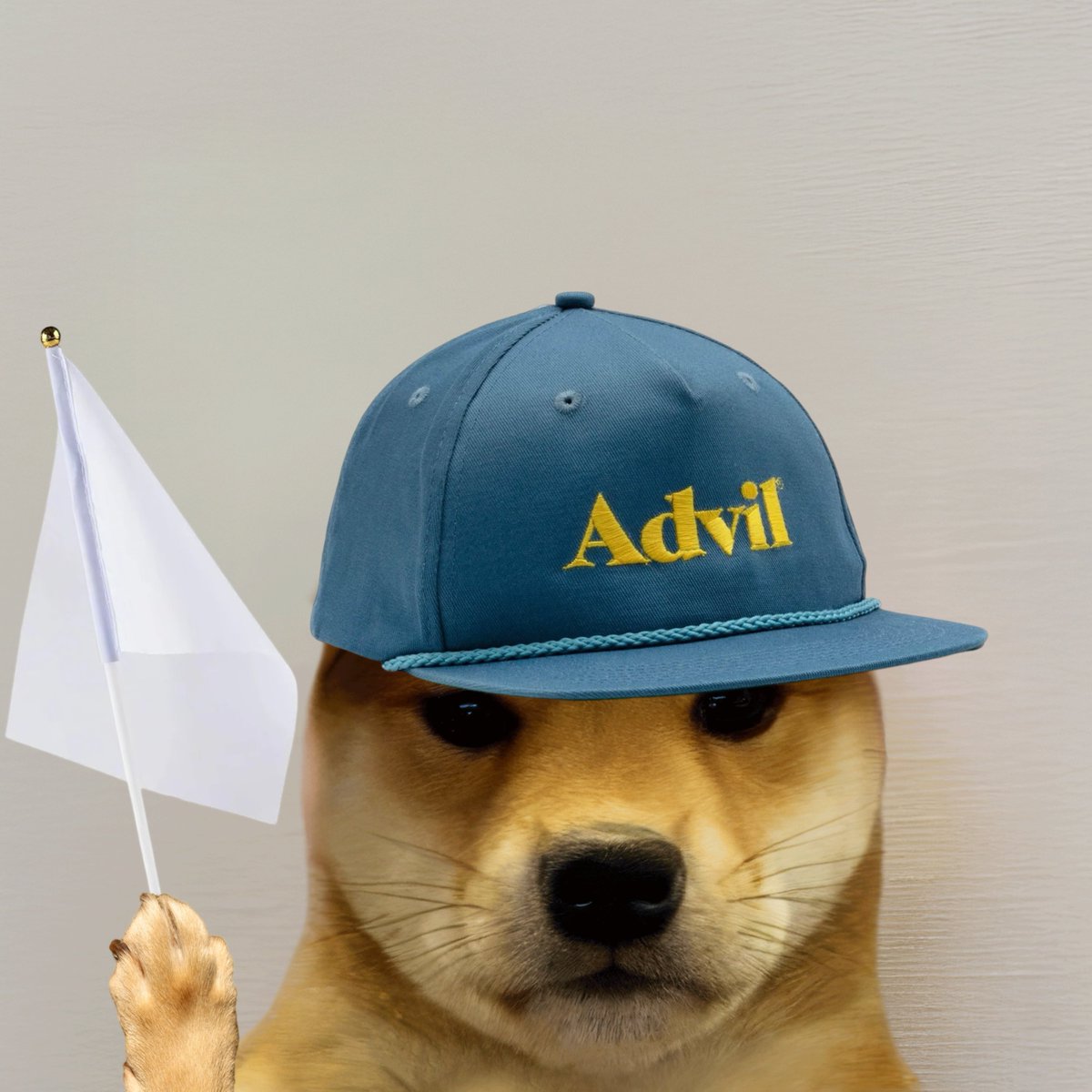 dogwifcoin tweet media