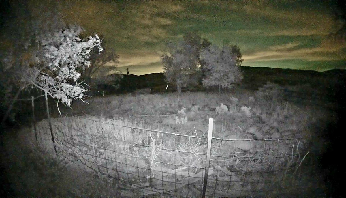 Why I don't read or review works by dolts, by <a href="/MartinHackworth/">Martin Hackworth</a> open.substack.com/pub/martinhack…